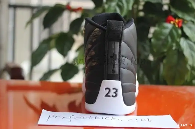 Air Retro Wings Jordan 12 Authentic 0519